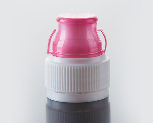 Flip Top Cap Mould