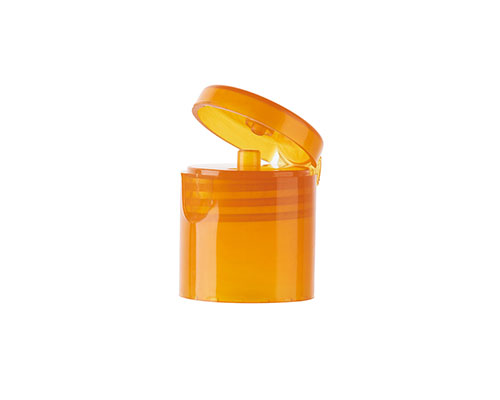 Flip Top Cap Mould