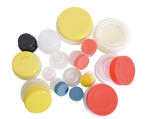 Food cover mould