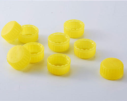 Food cover mould